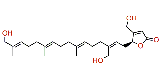 Hippolide F